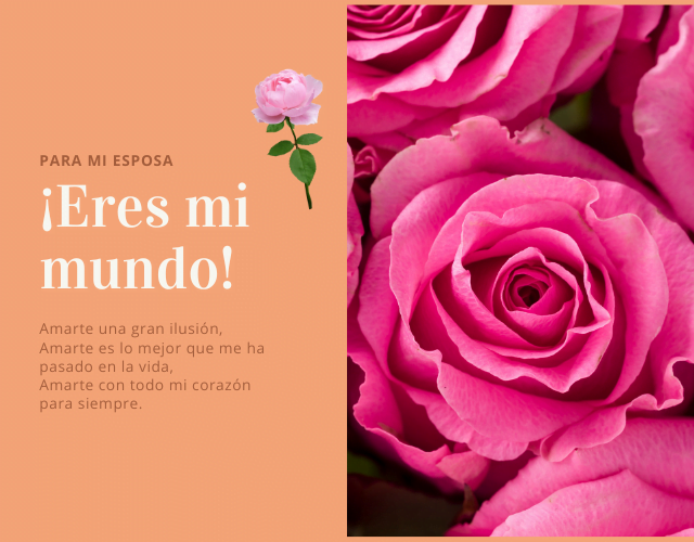 Eres mi mundo, Te amor