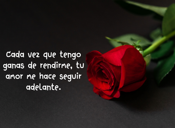 Frases de amor Frases de amor