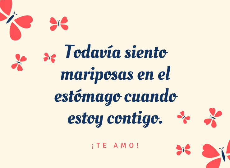 Frases de amor Todavía siento mariposas en el estómago cuando estoy contigo.
