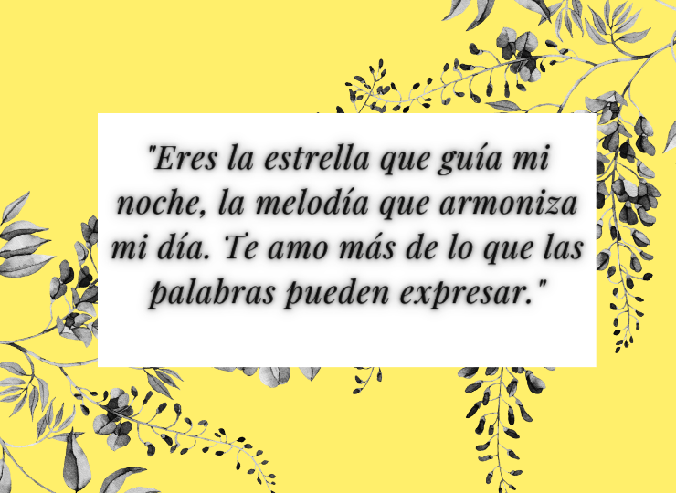 Frases de amor "Eres la estrella que guía mi noche, la melodía que armoniza mi día. Te amo más de lo que las palabras pueden expresar."