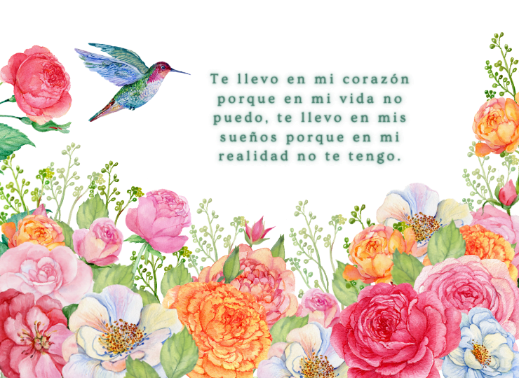 Frases de amor Frases de amor