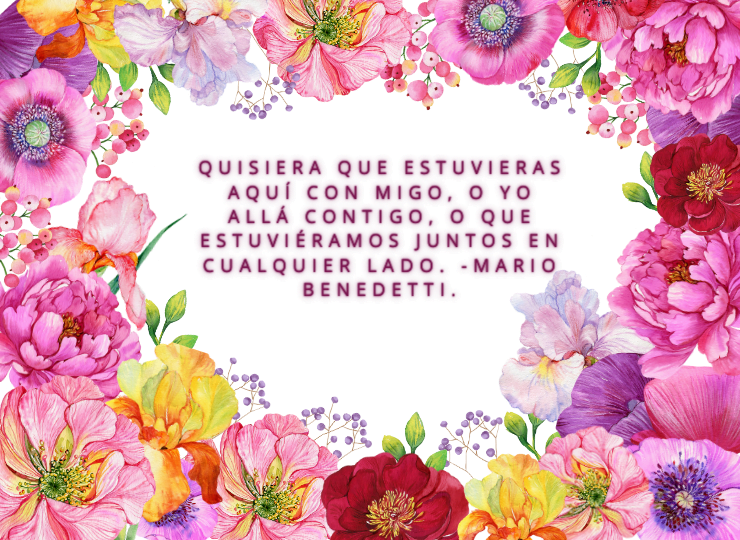 Frases de amor Frases de amor