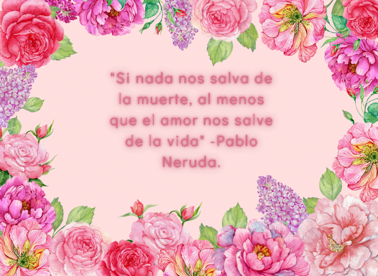 Frases de amor Frases de amor