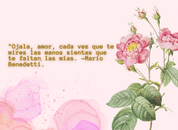 Frases de amor Frases de amor