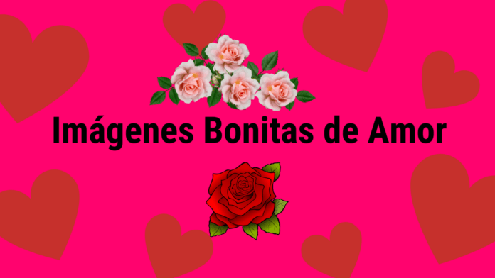 Imágenes bonitas de amor