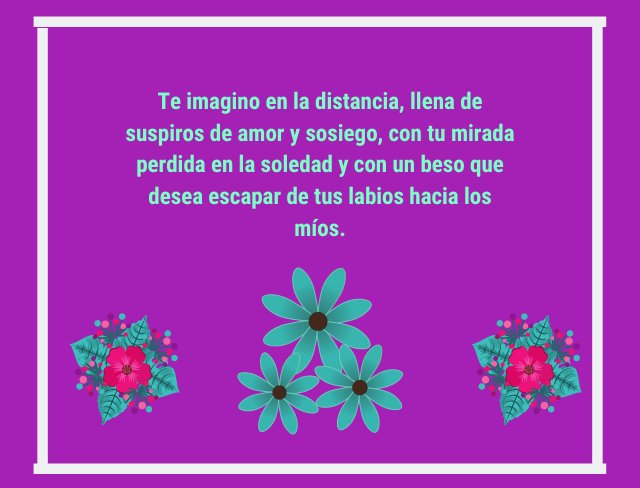 Te imagino en la distancia, llena de suspiros de amor y sosiego, con tu mirada perdida en la soledad y con un beso que desea escapar de tus labios hacia los míos.