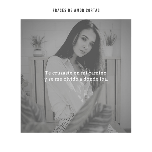 Imágenes de amor lindas